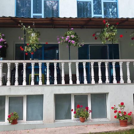 Casa Albastra Hotel Drumu Carului Bagian luar foto