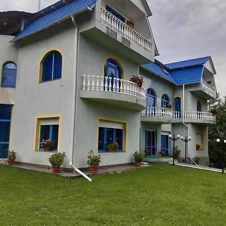 Casa Albastra Hotel Drumu Carului Bagian luar foto