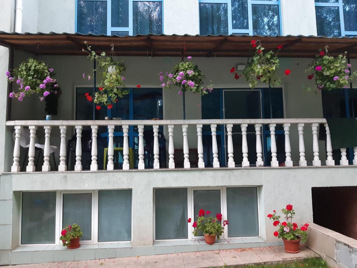 Casa Albastra Hotel Drumu Carului Bagian luar foto