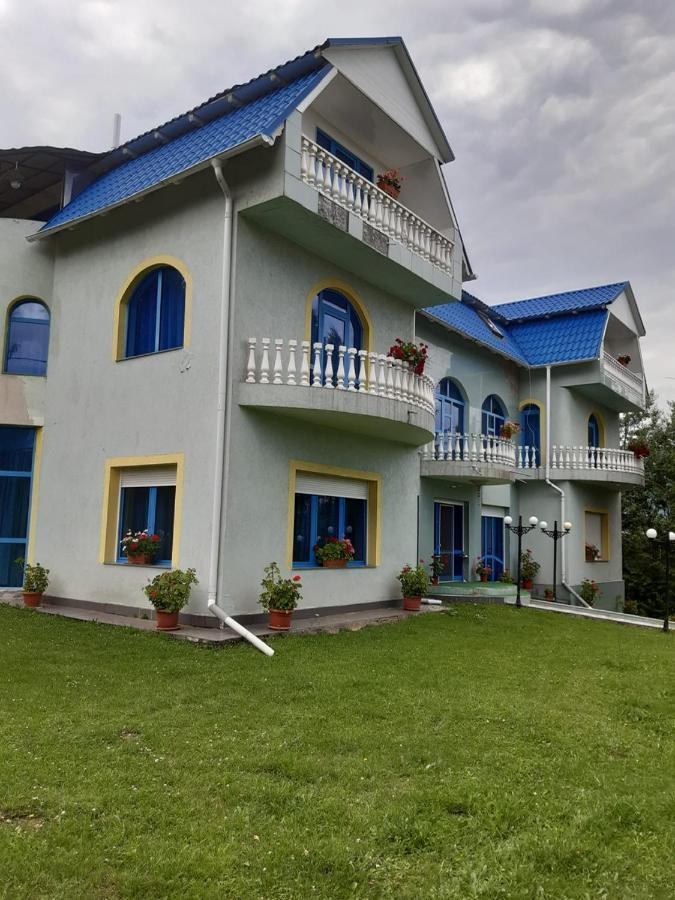 Casa Albastra Hotel Drumu Carului Bagian luar foto
