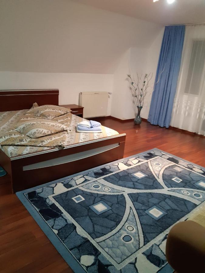 Casa Albastra Hotel Drumu Carului Bagian luar foto