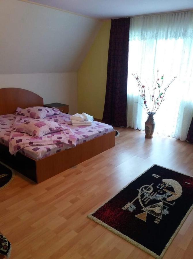Casa Albastra Hotel Drumu Carului Bagian luar foto