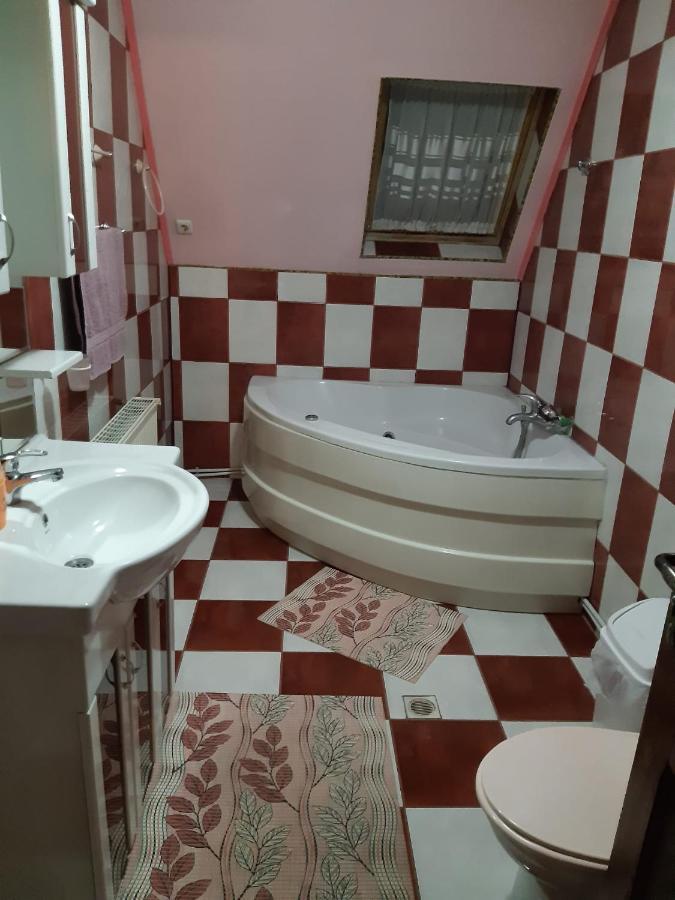 Casa Albastra Hotel Drumu Carului Bagian luar foto