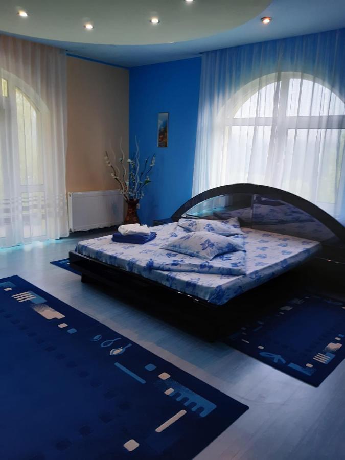 Casa Albastra Hotel Drumu Carului Bagian luar foto