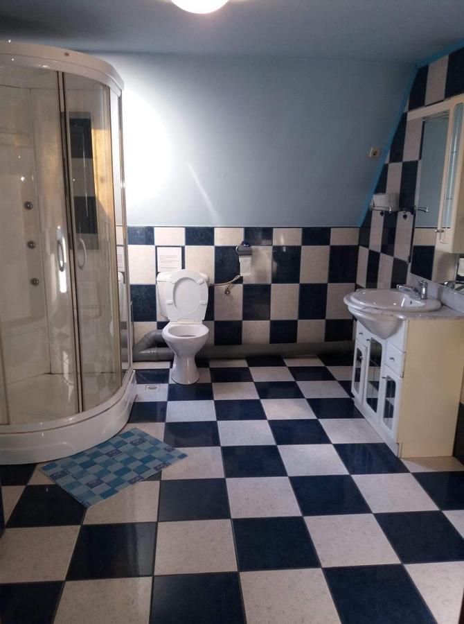 Casa Albastra Hotel Drumu Carului Bagian luar foto
