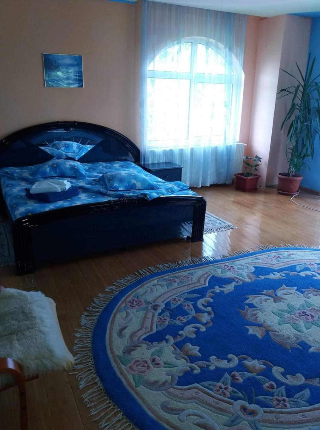 Casa Albastra Hotel Drumu Carului Ruang foto